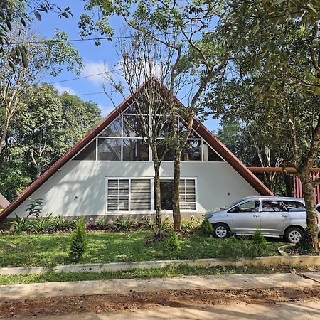 Hazy Hills Pool Villa Udumbanshola Exterior foto